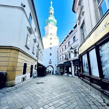 Centrum - Moderny Komfortny Daire *